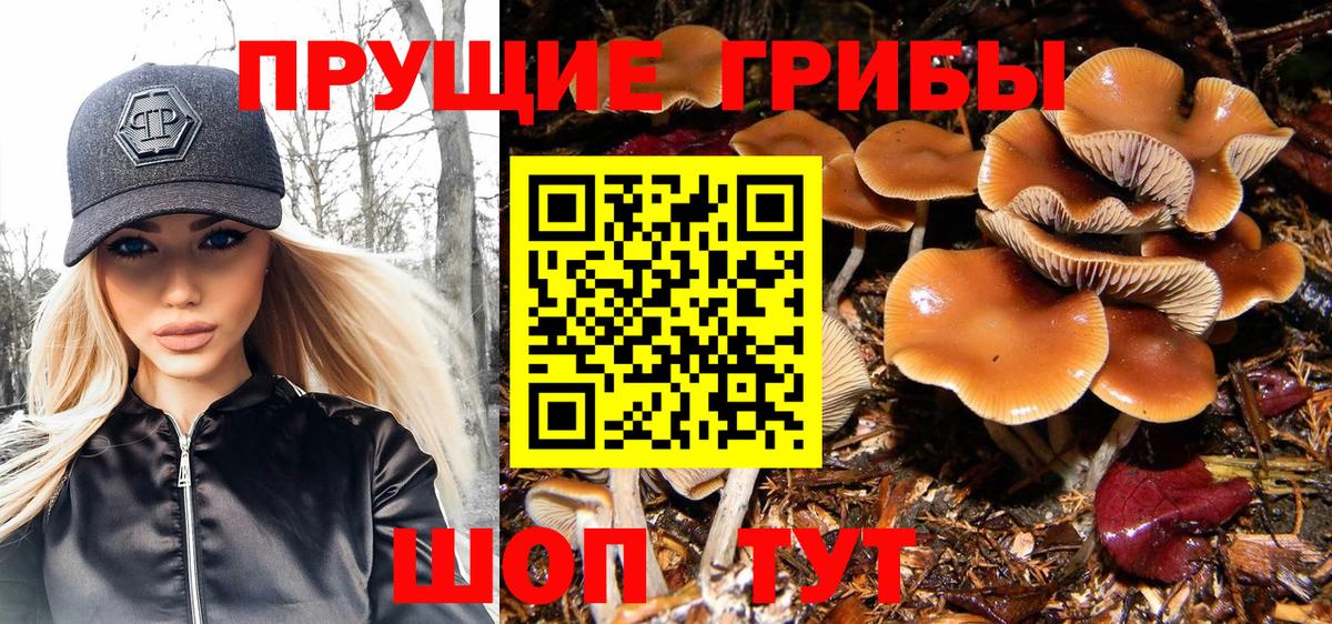 Галлюциногенные грибы мухоморы  Вход с VPN  Ростов-на-Дону 